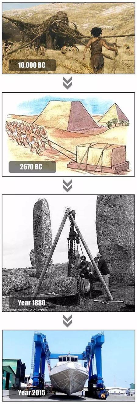 কেন হিউম্যান বীজ ক্রেন প্রয়োজন .jpg Why Human Beings Need Crane.jpg